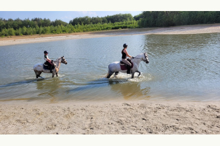 Vakantieboerderij Hoeve Heide en Wold met hottub direct aan ruiterroutes VMP010